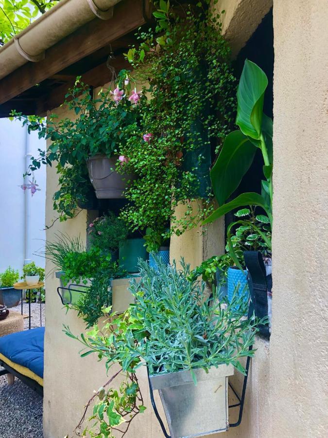 Le Jardin Wilson Διαμέρισμα Ντιζόν Εξωτερικό φωτογραφία