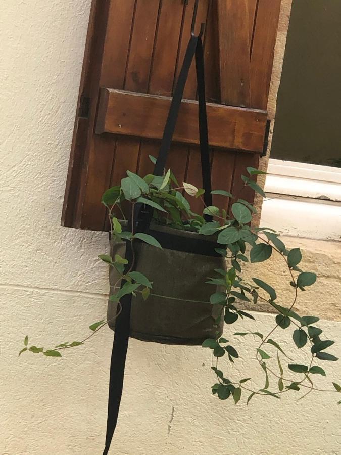 Le Jardin Wilson Διαμέρισμα Ντιζόν Εξωτερικό φωτογραφία
